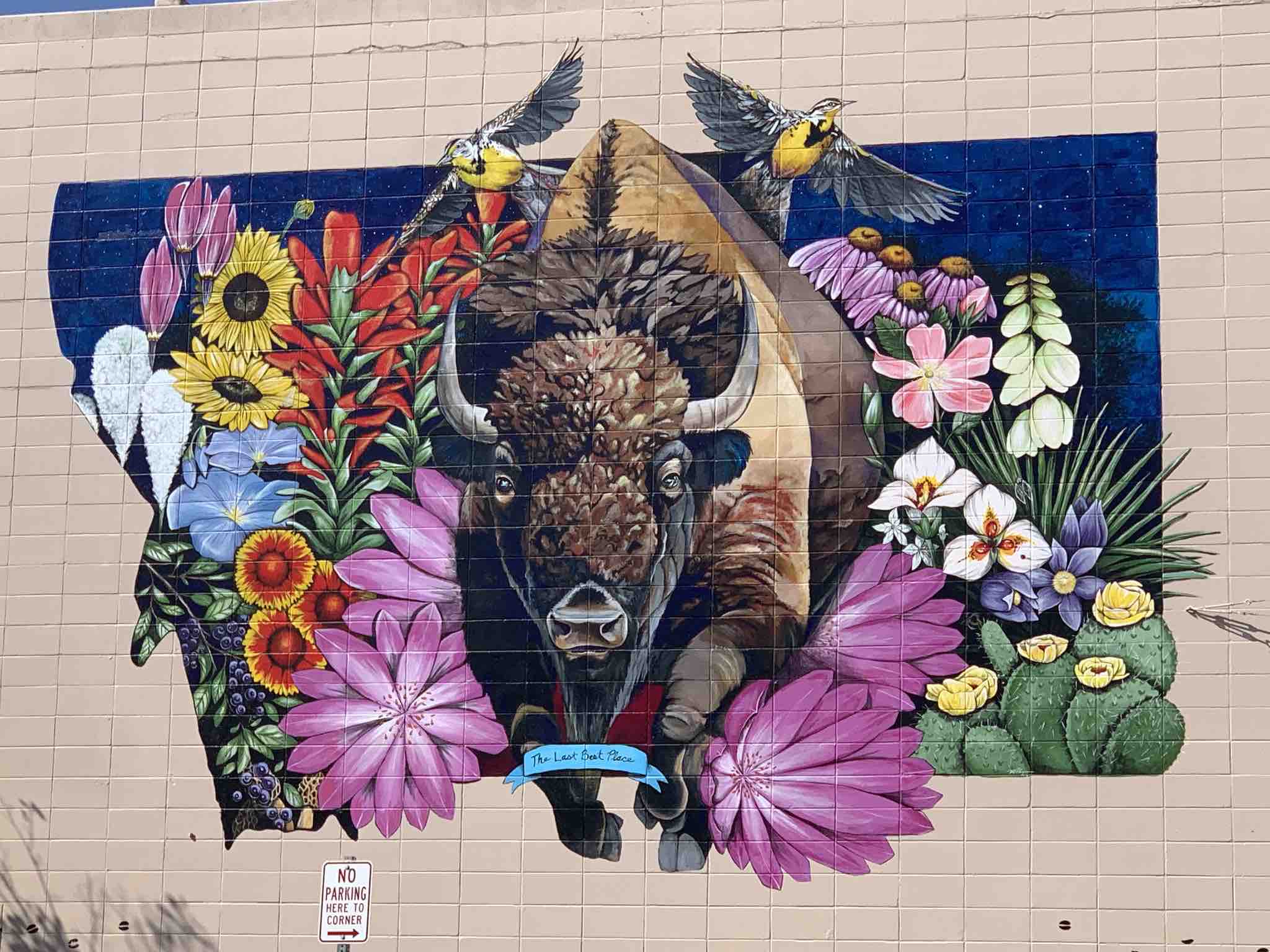 Street art of buffalo