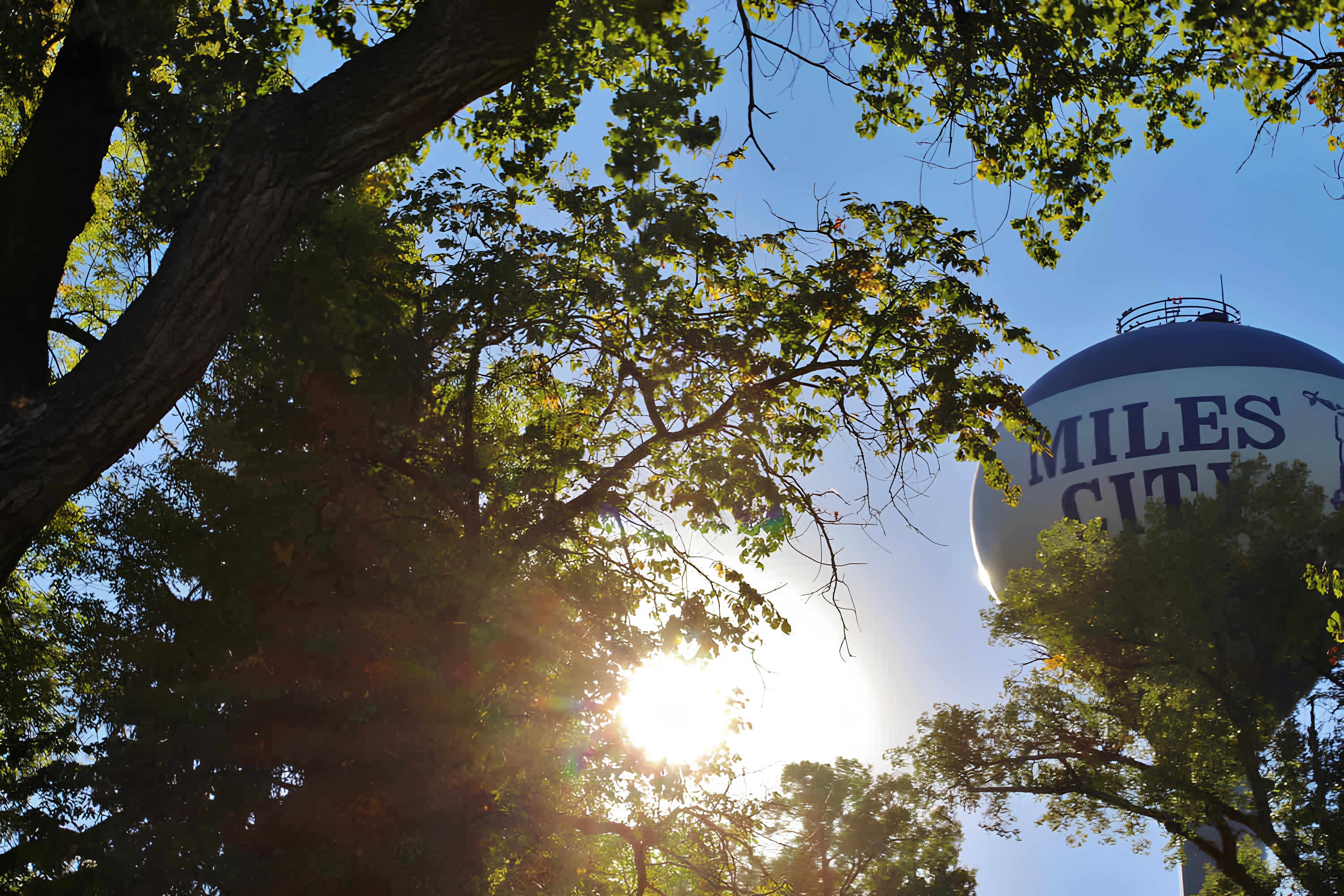 Water tower with the words Miles City through the trees